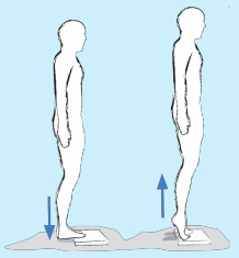 gimnastika10.png